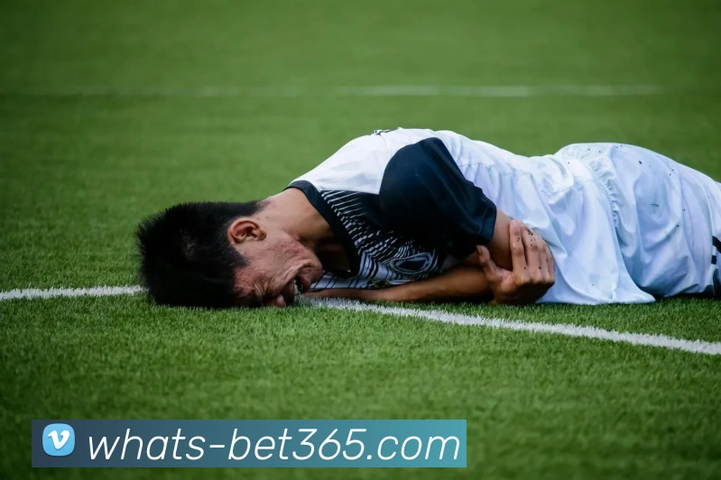 bet365APP 高清赛事图